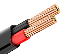 2 Conductor Electrical Wire