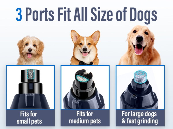 3 ports fit all size of dogs