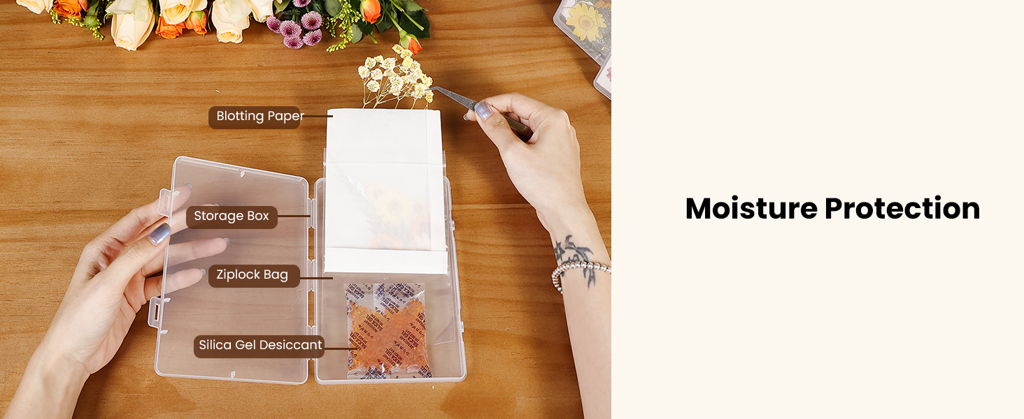 Dried Flower Storage box