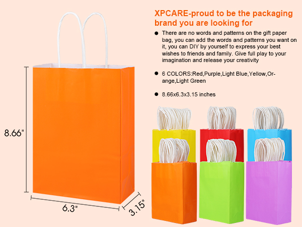 Kraft Paper Party Favor Gift Bags