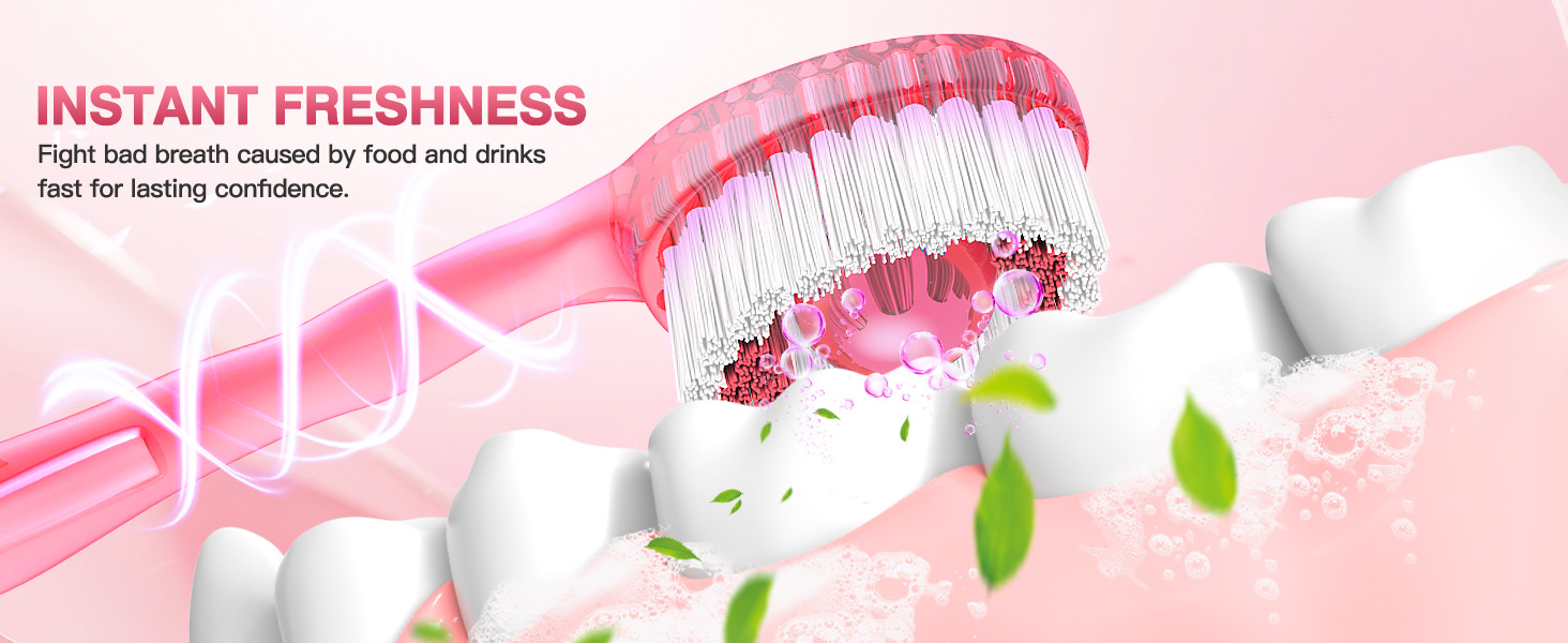 disposable toothbrushes with toothpaste