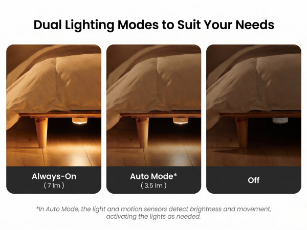 Dual Lighting