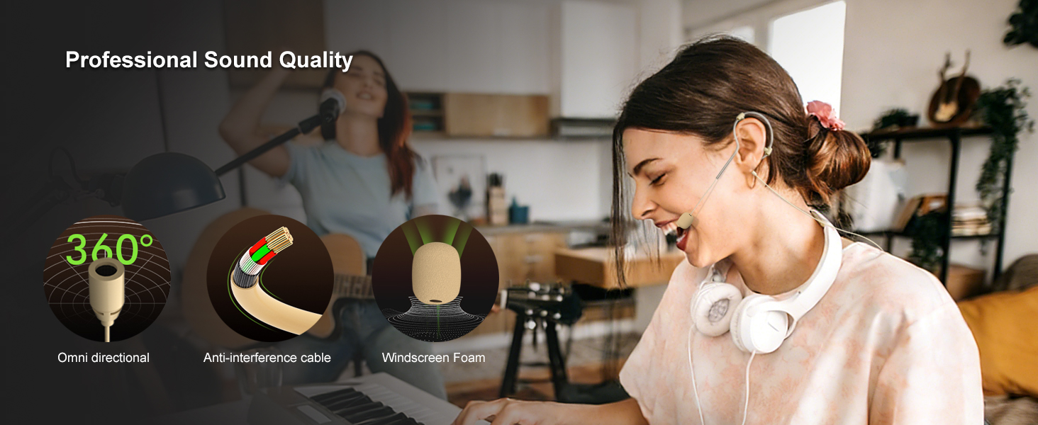 Headset Headworn Single Earhook Microphone
