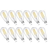 12-Pack Vintage 7W ST58 LED Edison Light Bulbs 60W Equivalent, 850Lumens, 3000K Soft Warm White, ...