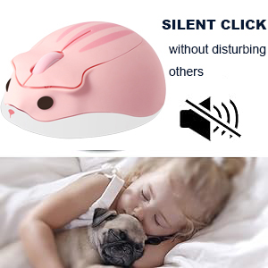 SILENT-MOUSE