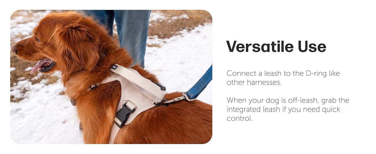 grab harness