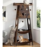 Feliskyn Modern Wood Cat Tree for Indoor Large Cats, 56 Inch Tall Cat Tower with Perch Bed, Multi...