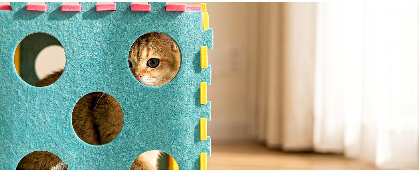 cat toys