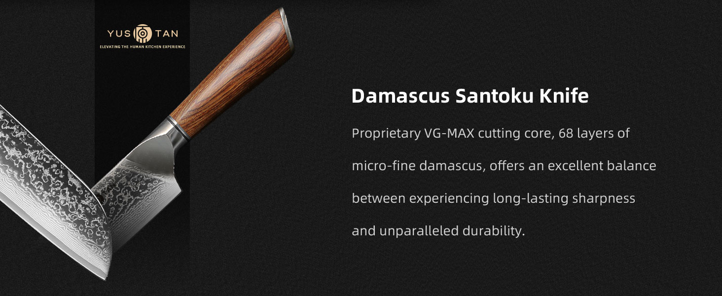 Damascus kitchen knife