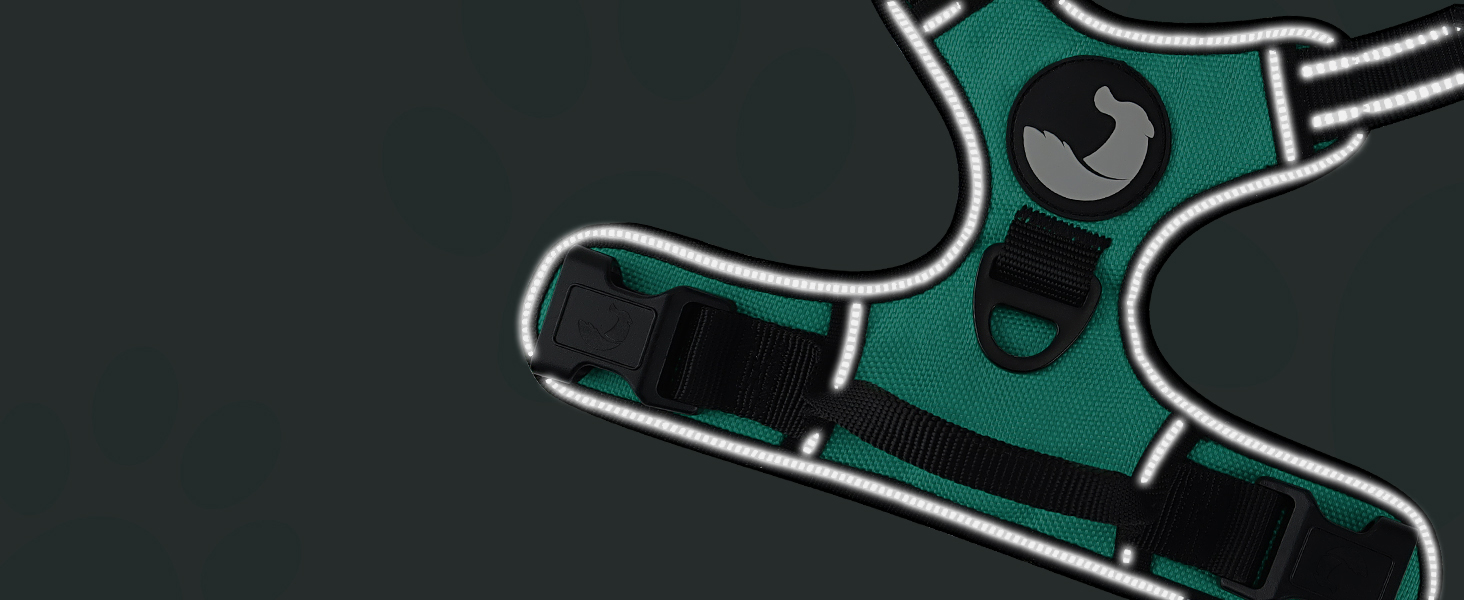 dog harness