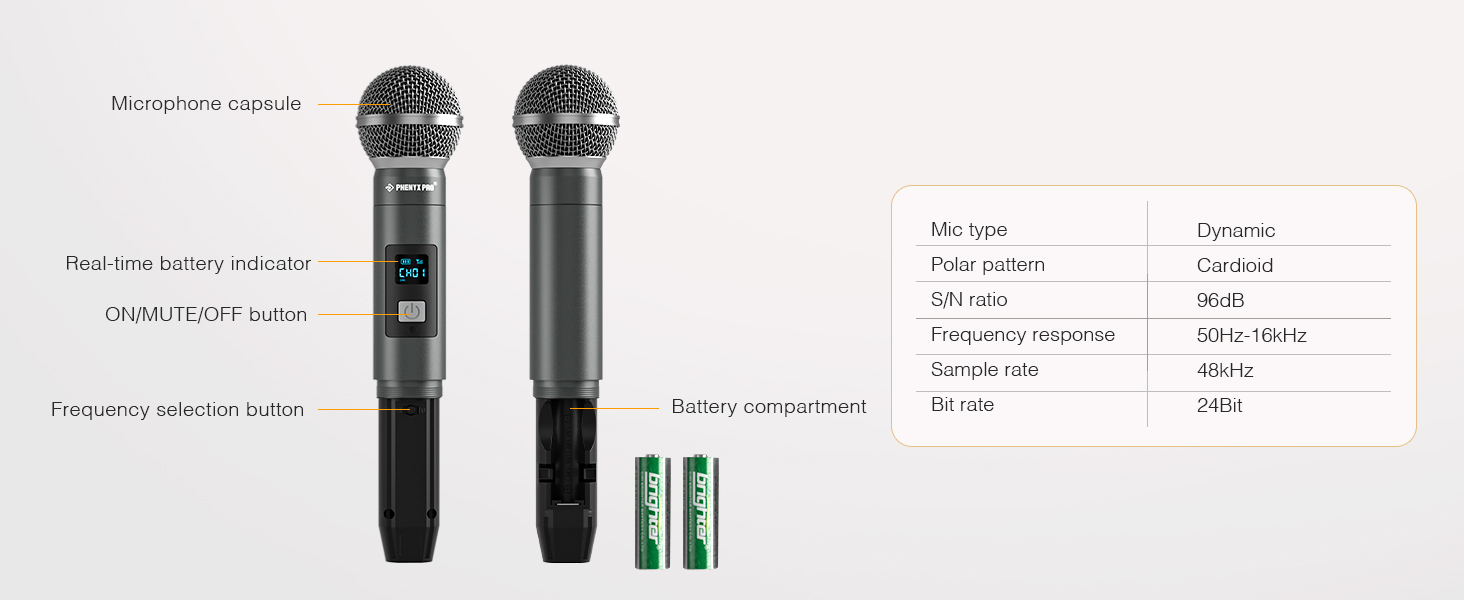 microphone system