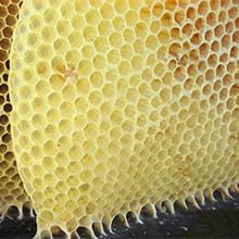 beeswax wrap