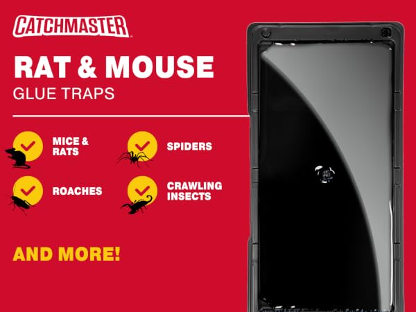 rat mouse baited glue trap