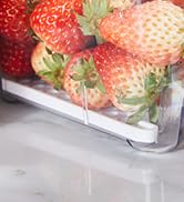Large Acrylic Display Risers