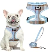 PUPTECK Soft Mesh Dog Harness and Leash Set Pet Puppy Cat Comfort Padded Vest No Pull Harnesses, ...