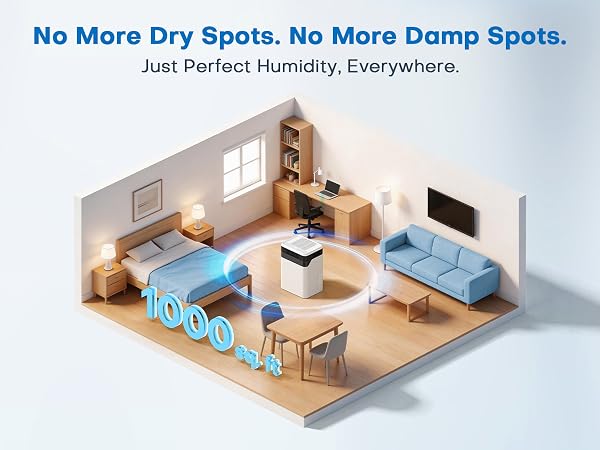 Dehumidifier