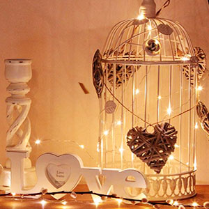 fairy lights battery operated
