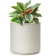 homenote Flower Pots 13.2 Inch,Large Plant Pots Indoor with Drainage,Plastic Pots for Plants,Gard...