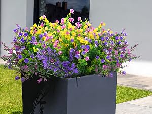 outdoor flowers