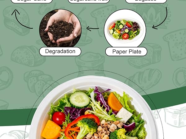 microwave safe plates