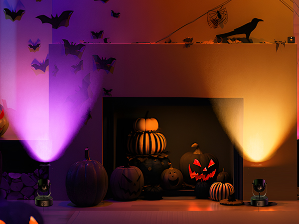 Spotlight Indoor