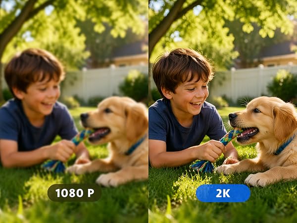 safe view security camera