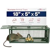Heavy Duty Catch Release Large Live Humane Animal Cage Trap (18 x 5 x 5)