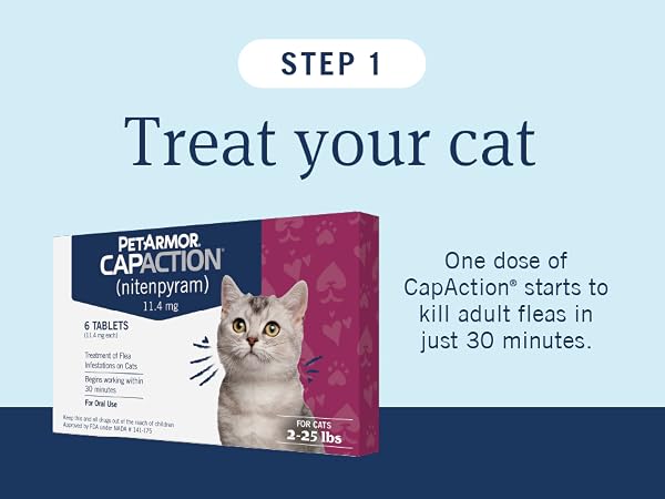 step 1: treat your cat