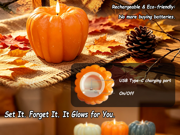 Party & Event Decorations – Enhance the atmosphere any celebrations