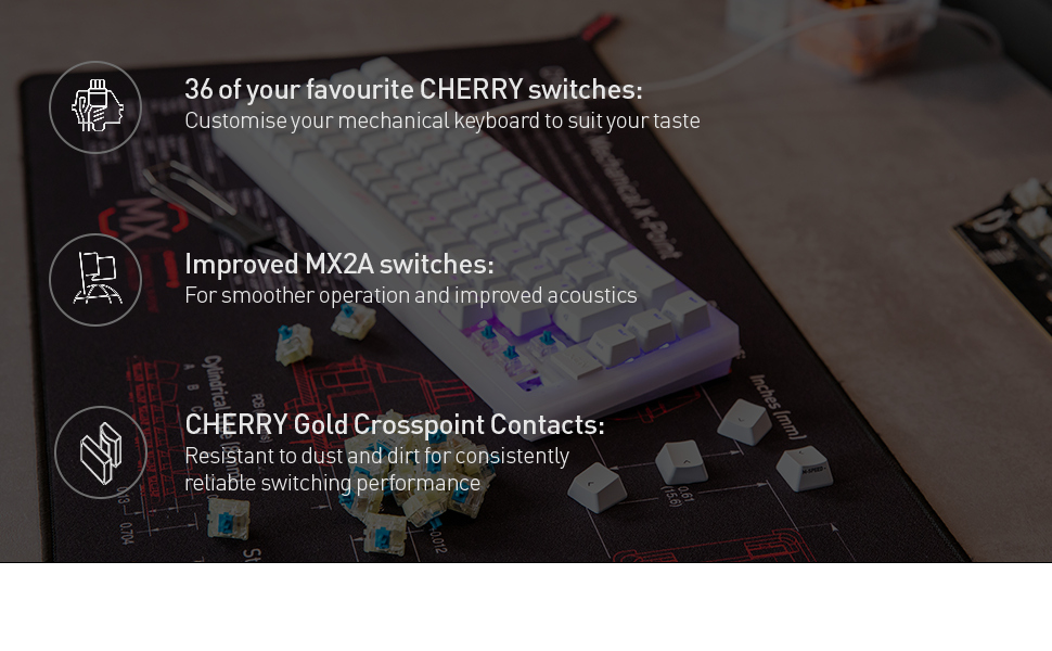 cherry mx2a blue switch kit image three