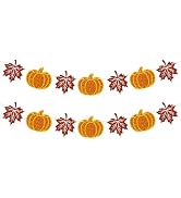 Alynta Pre-Strung Fall Thanksgiving Banner - NO DIY Glitter Autumn Pumpkin Maple Leaves Banner Ga...