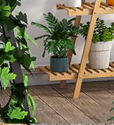 Furshus Bamboo Plant Stand - Indoor/Outdoor 3 Tier Plant Ladder, 8 Potted Flower Holder, Natural
