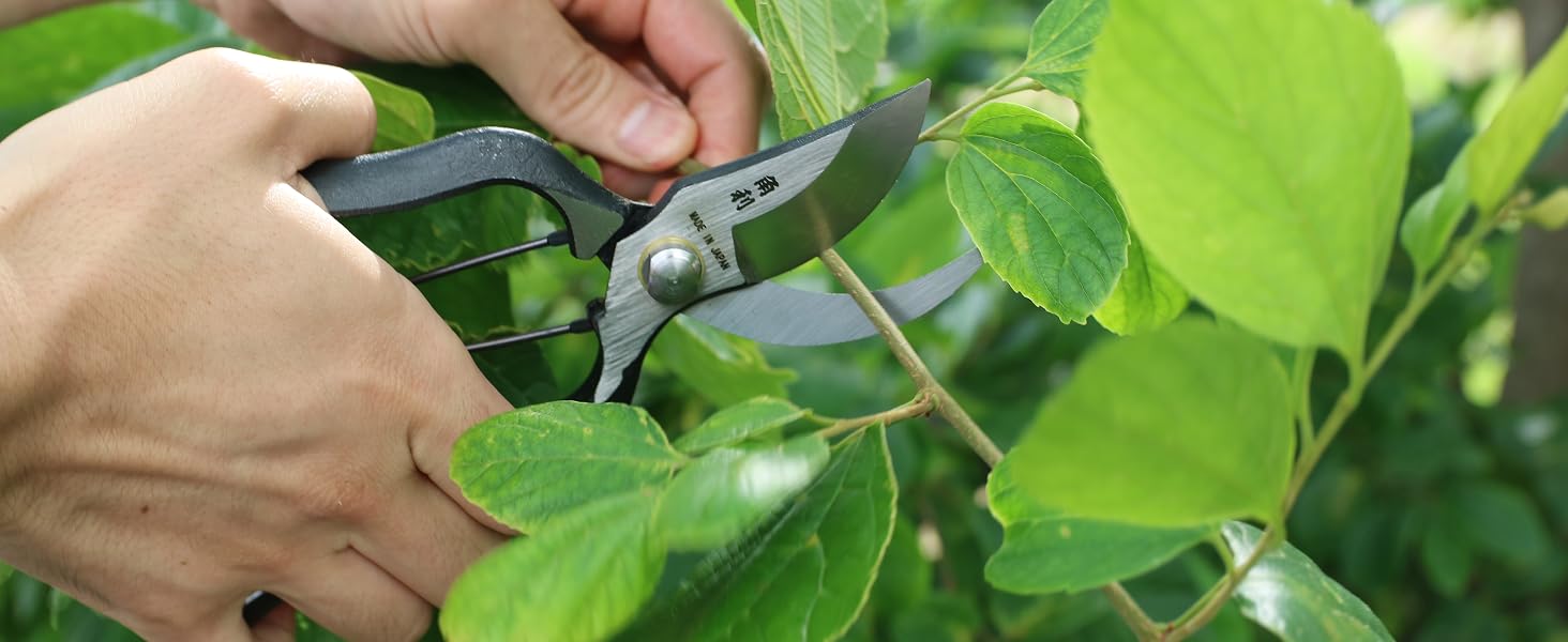 Japanese Garden Pruning Shears