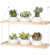 J JACKCUBE DESIGN 2 Tier Wooden Hanging Planter Set of 6 Pots, Wall Plant Hangers with Metal Fram...