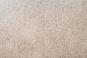 beige carpet