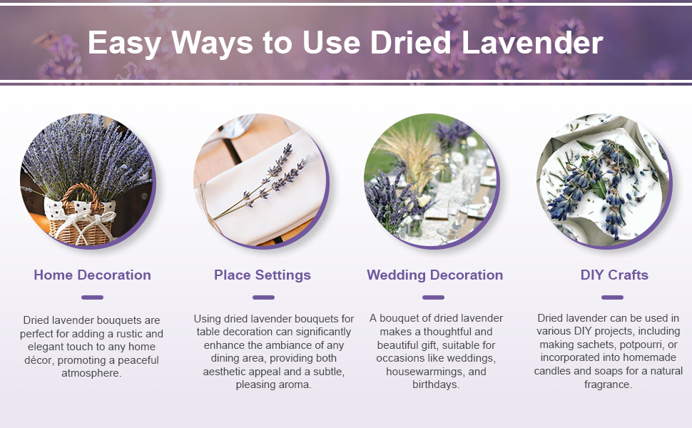 dried lavender flowers