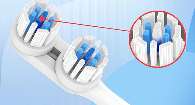 spin brush toothbrushes