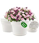 Pottiffe 10 Inch Plastic-Flower-Pot-for-Indoor-Plants, 4 Pack Large Outdoor Planter Pot with Drai...