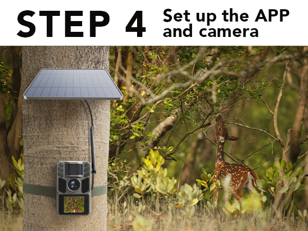 trail camera