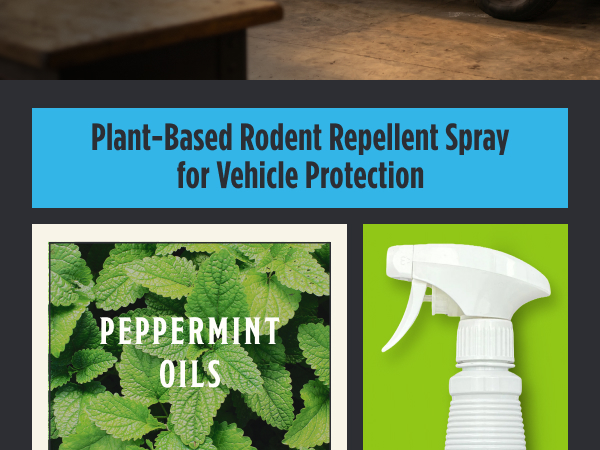 Rodent Repellent For Car Engines, Peppermint Oil & Cinnamon Oil Rodent Repellent Spray
