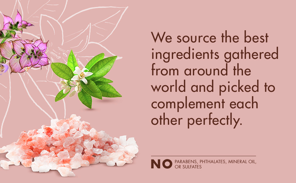 We source the best ingredients gathered from around the world
