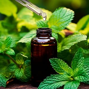 peppermint tincture