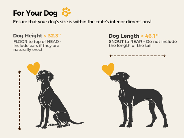 Measure dog size