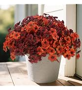 Geegoods Artificial Mum Flowers for Outdoors, 16 Bundles UV Resistant | Faux Flowers for Front Do...