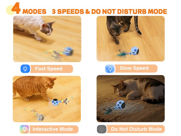 interactive cat toy