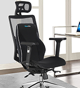 lumbar support pillow