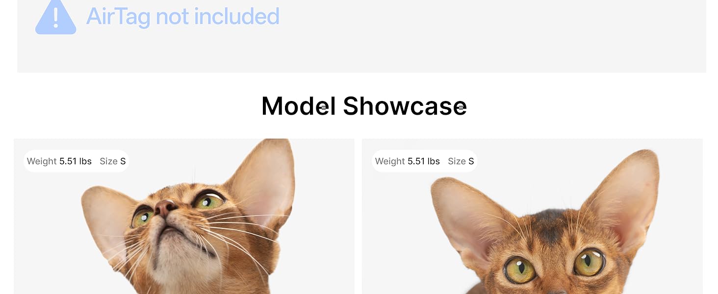 Model Showcase 1
