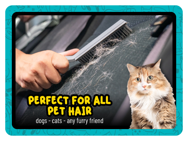 The pet hair removal brush detailers trust for deep-embedded fur in fabric seats.