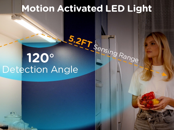 motion sensor light indoor