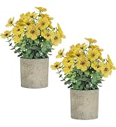 2 Pack Small Fake Plants Potted Artificial Plants Artificial Flowers Potted Faux Flower Daisy wit...